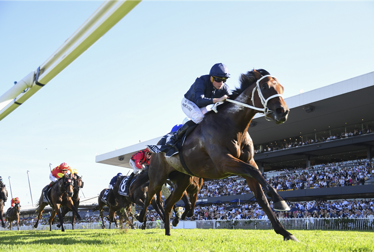 Inside Run - Shinzo Set For Coolmore Payday